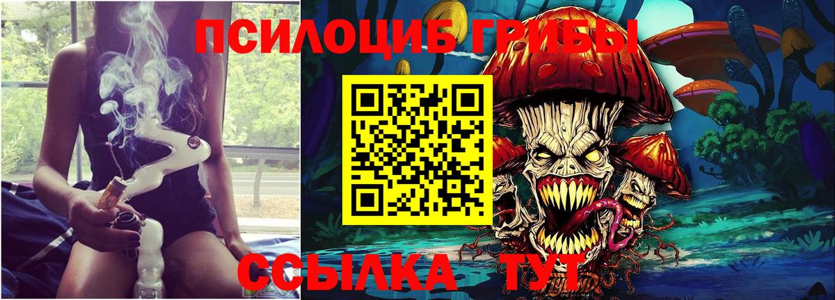 Псилоцибиновые грибы мицелий  Вход с VPN  Городец 